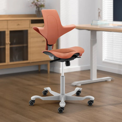 Back support Computer Office ergonomics Learning Dentist Saddle chair