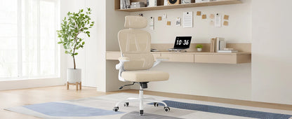 Farini Ergonomic Office Chair, Home Office Desk Chair with Lumbar Support & Headrest, High Back Computer Chair for Work, Study
