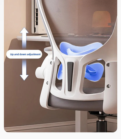 New model Computer chair Dormitory chair Ergonomic chair Learning seat Computer chair with waist rest