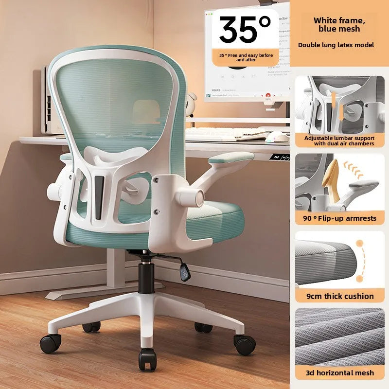 New model Computer chair Dormitory chair Ergonomic chair Learning seat Computer chair with waist rest