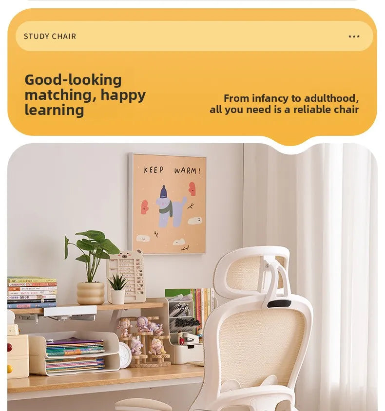 New model Durable Office Study Chair Computer Chair Household Desk Chair Student Writing Chair Waist Protection Ergonomic Chair