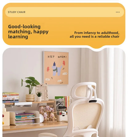 New model Durable Office Study Chair Computer Chair Household Desk Chair Student Writing Chair Waist Protection Ergonomic Chair