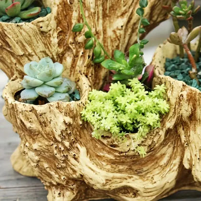 Resin Succulent Flowerpot (with Drainage Hole) - Unique Asymmetrical Texture Design, Dual-Use Indoor and Outdoor Decoration