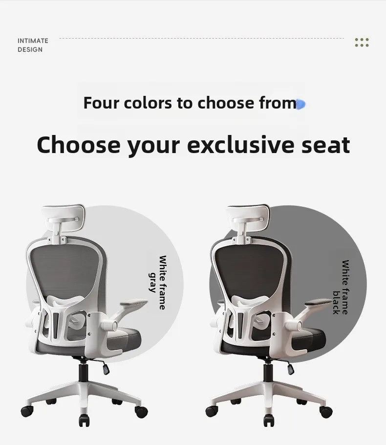 New model Computer chair Dormitory chair Ergonomic chair Learning seat Computer chair with waist rest
