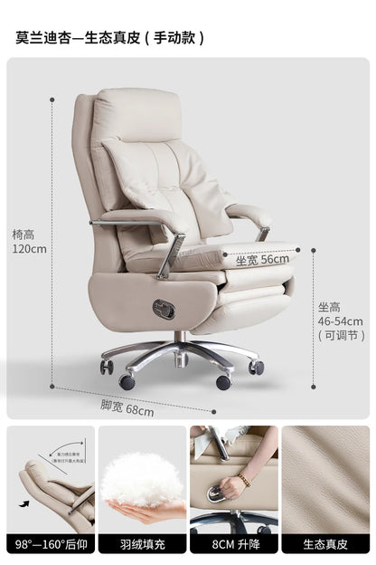 Economy Office Chair Basic Office Seat Practical Function Meet Needs Cost Effective Daily Office Fotel Wypoczynkowy Furniture