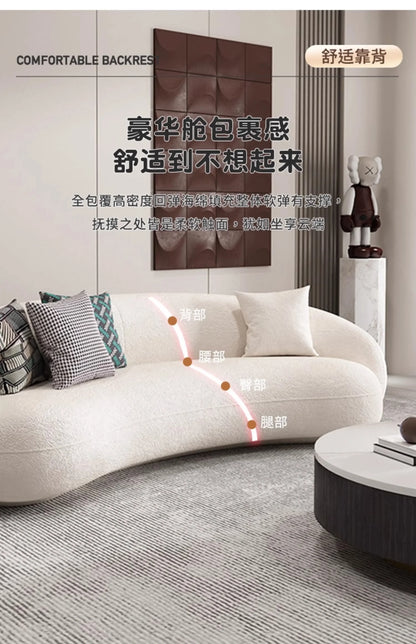 Nordic Reception Sofa Simple Modern Living Room Small Apartment Creative Circular Arc Sofa Net Celebrity Furniture Couch Muebles