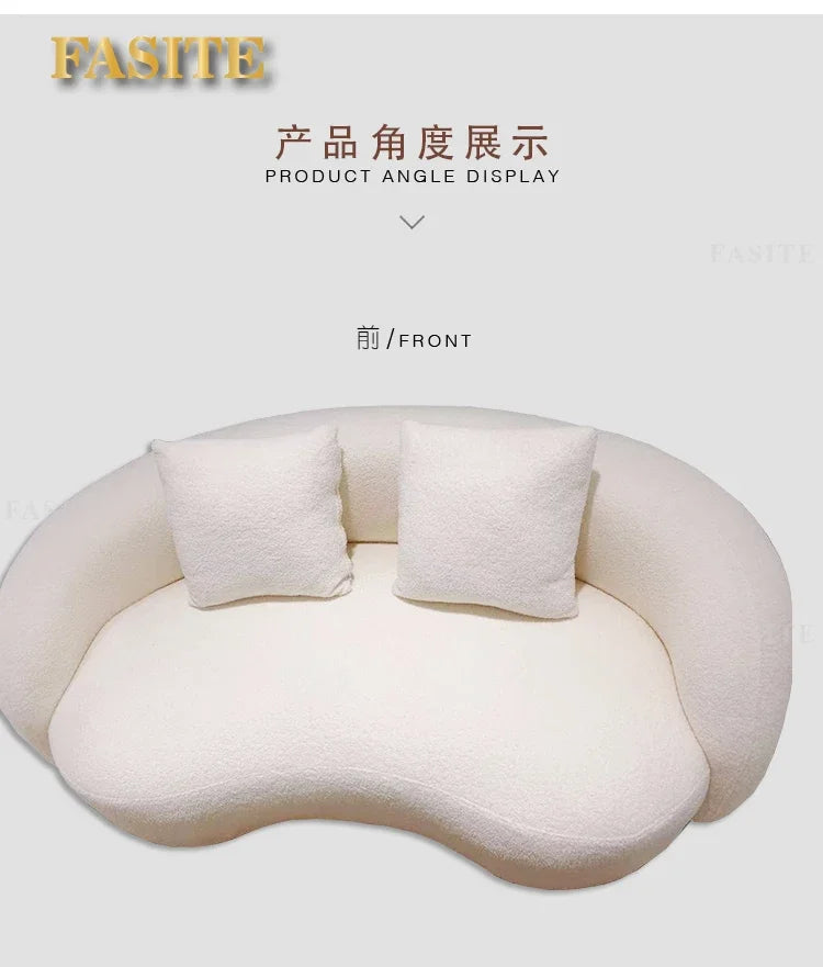 Arc-shaped sofa, small unit, internet celebrity, light luxury homestay villa, designer, lamb plush leather art sofa
