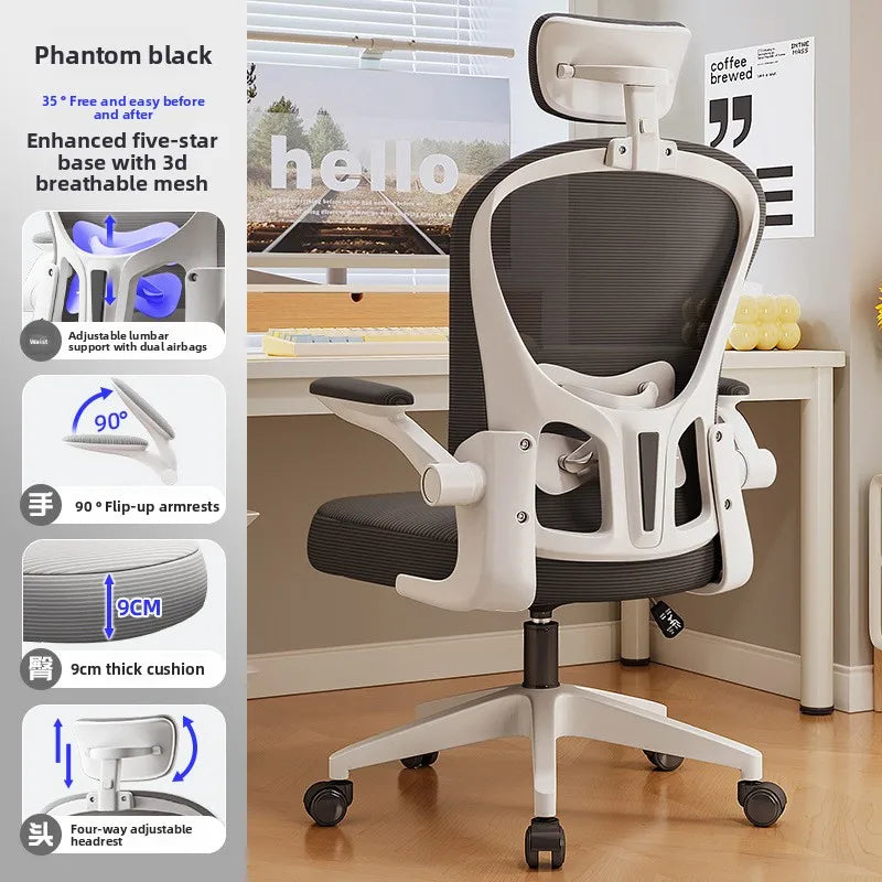 New model Computer chair Dormitory chair Ergonomic chair Learning seat Computer chair with waist rest