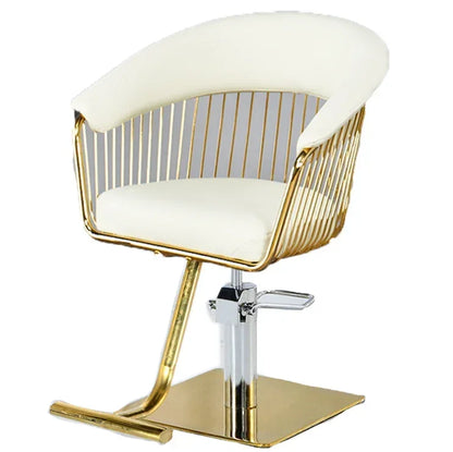 Chair Hair  Private Network Red Disc High-Grade Lifting Rotating Hair Cutting Chair