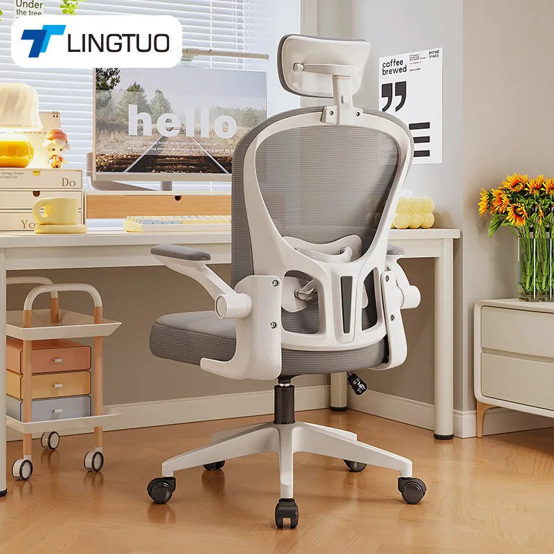 New model Computer chair Dormitory chair Ergonomic chair Learning seat Computer chair with waist rest