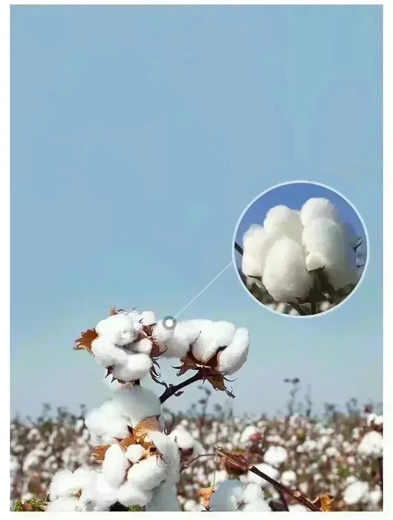 Men's Pure Cotton T-shirt, Fashionable and Trendy Hip-hop 2026 New Style Loose and Comfortable Sports Latest Style Affordable