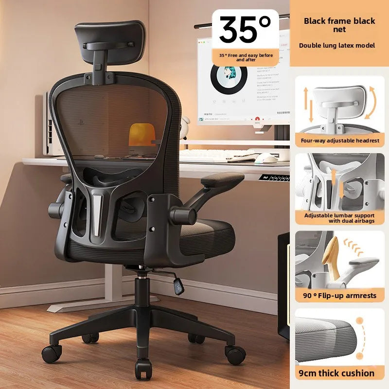 New model Computer chair Dormitory chair Ergonomic chair Learning seat Computer chair with waist rest