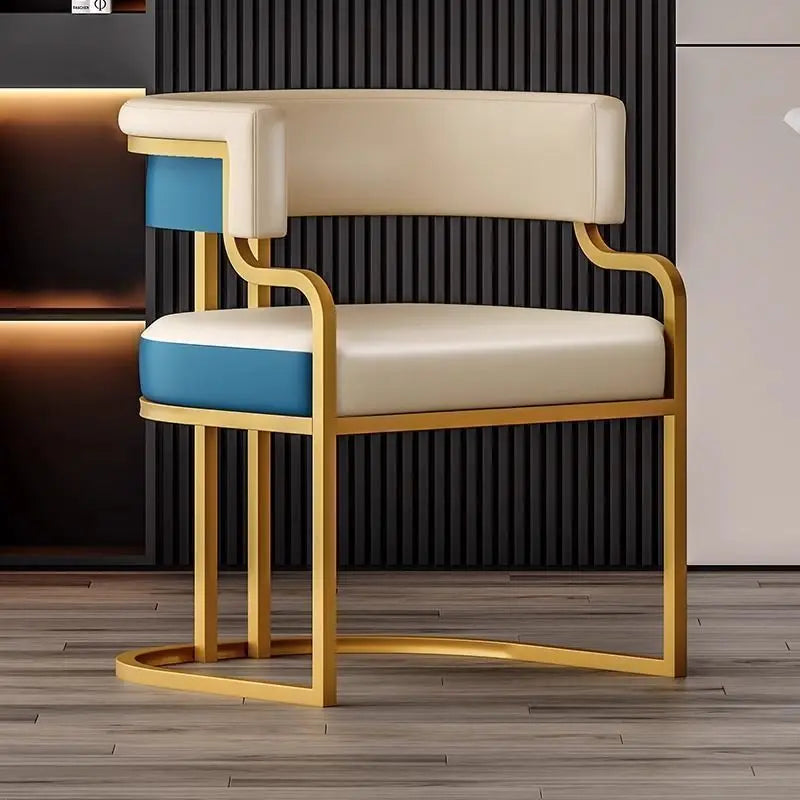 Modern Light Luxury Accent Chair Premium Dining Chair for Salon Reception Office Conference Hotel Lounge Makeup Nail Studio