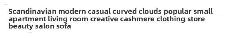 Simple Small Apartment Living Room Sofas Nordic Home Balcony Single Back Sofa Chair Beauty Salon Lounge Reception Double Sofas