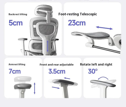 Ergonomic Office Chair with Lumbar Support Adjustable 3D Armrests Recline Tilt Function Mesh Seat for Home Office