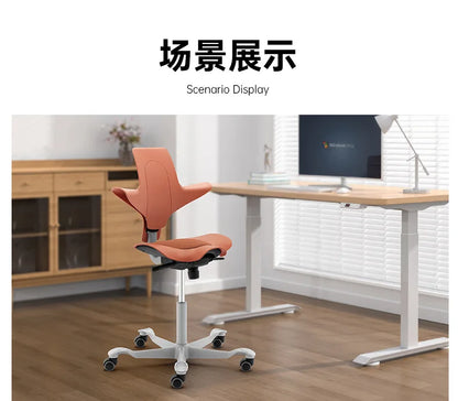 Back support Computer Office ergonomics Learning Dentist Saddle chair