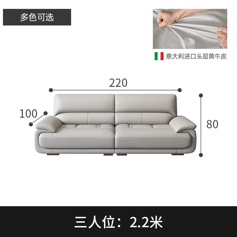 Premium Simple and modern combination imported concubine sofa size apartment living room first layer cowhide leather art sofa