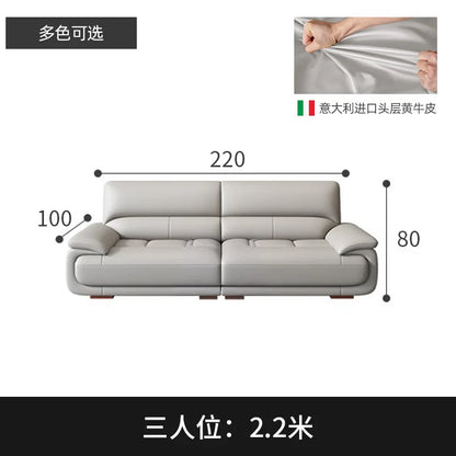 Premium Simple and modern combination imported concubine sofa size apartment living room first layer cowhide leather art sofa