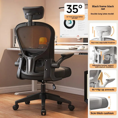 New model Computer chair Dormitory chair Ergonomic chair Learning seat Computer chair with waist rest