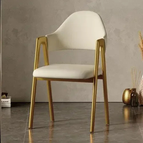 Room Dresser Dining Chairs Home Mid Century Modern Furniture Metal Skeleton Armchair Simple Makeup Armchair Kitchen Furniture