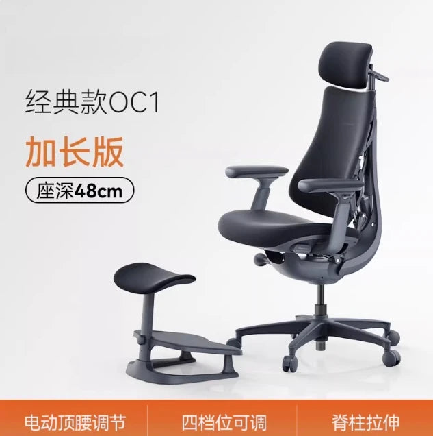 Relaxing Dynamic Ergonomic Chair Human Body Ergonomic Chair Computer