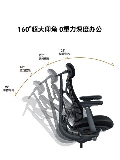Relaxing Dynamic Ergonomic Chair Human Body Ergonomic Chair Computer