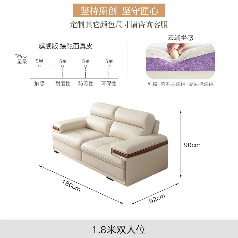 Leather sofa modern simple living room size apartment concubine solid wood combination imported first-layer cowhide sofa