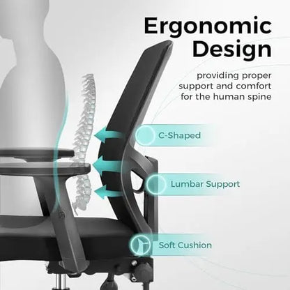 Ergonomic Office Chair with Lumbar Support, Adjustable Armrest & Seat Cushion, BIFMA & SGS Certified