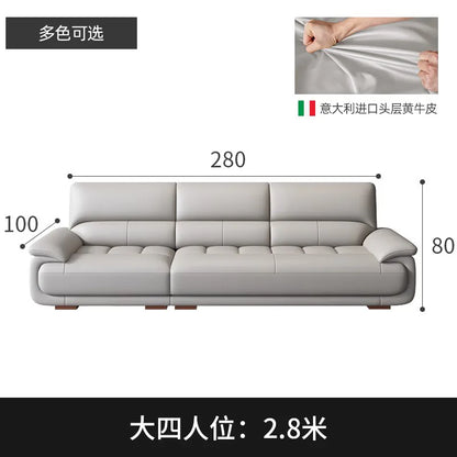 Premium Simple and modern combination imported concubine sofa size apartment living room first layer cowhide leather art sofa