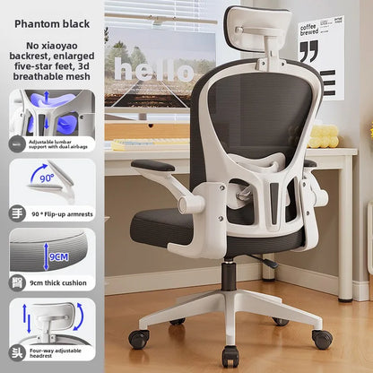 New model Computer chair Dormitory chair Ergonomic chair Learning seat Computer chair with waist rest