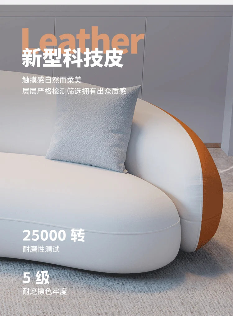 Modern Simple Sofa France Leisure High Quality Designer Decor Adult Salon Sofas Creative Comfortable Muebles Home Furniture