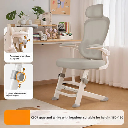 New model Durable Office Study Chair Computer Chair Household Desk Chair Student Writing Chair Waist Protection Ergonomic Chair