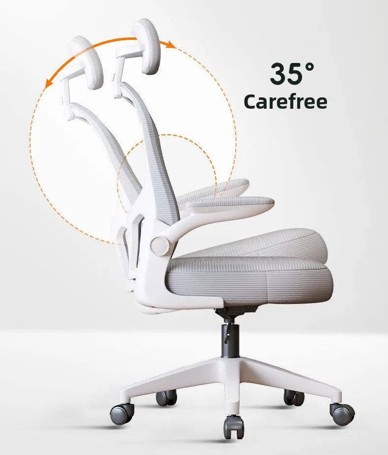 New model Computer chair Dormitory chair Ergonomic chair Learning seat Computer chair with waist rest
