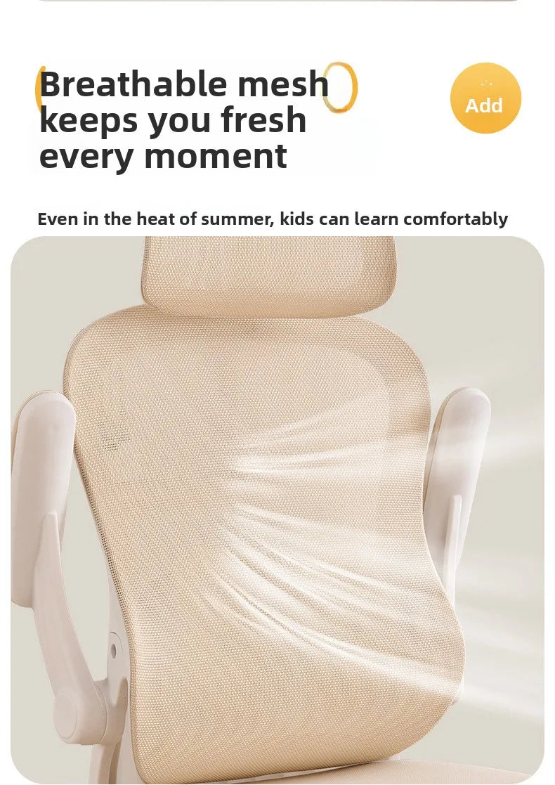 New model Durable Office Study Chair Computer Chair Household Desk Chair Student Writing Chair Waist Protection Ergonomic Chair