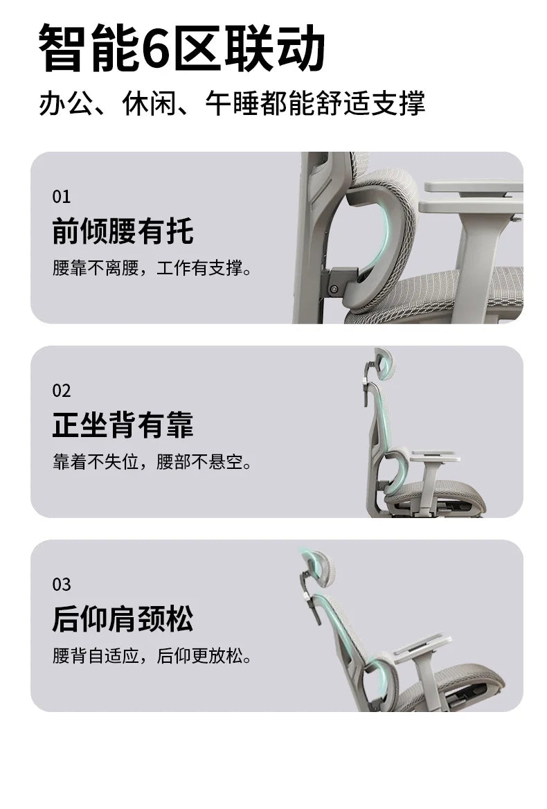 Computer Gaming Chair Ergonomic Chair Adjustable Rotatable Lumbar Support Sedentary Not Tired Silla Gamer Office Furniture