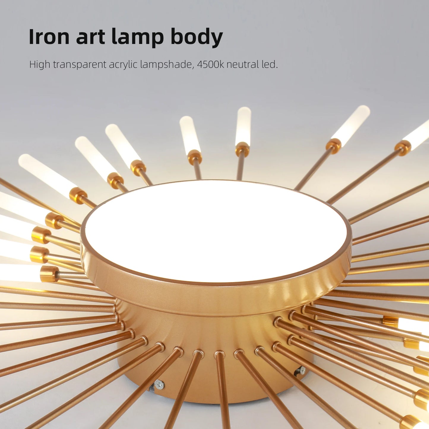 Creative LED Ceiling Lamp Modern Living Room Lights Nordic Home Decor Dining Bedroom Lighting Lustre Indoor Ceiling Pendant Lamp