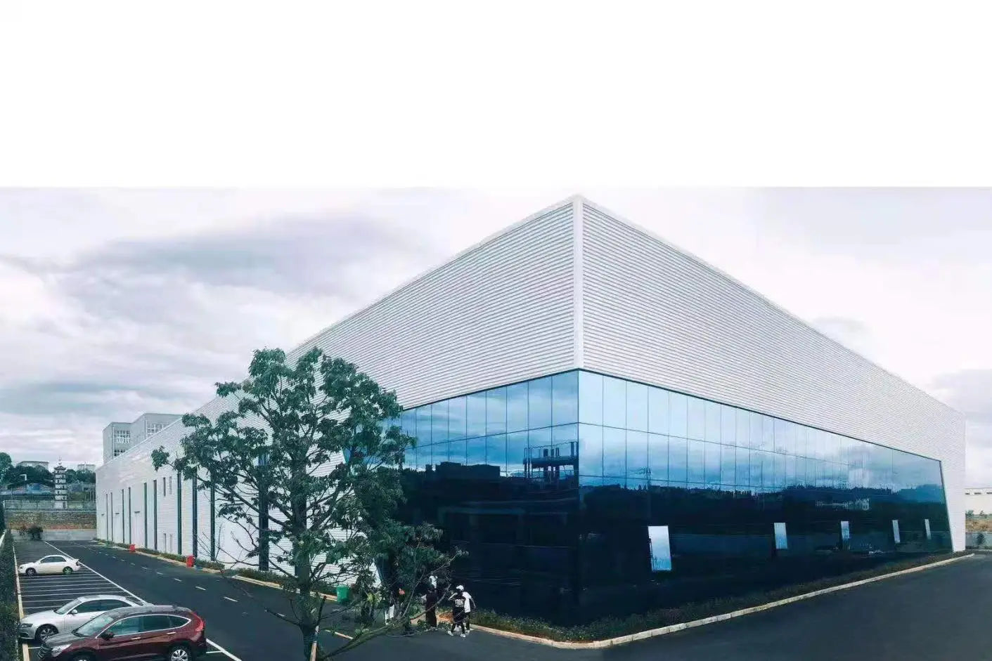 advanced computer chair swivel ergonomic chair cushion PU luxury with wheels office massage chair