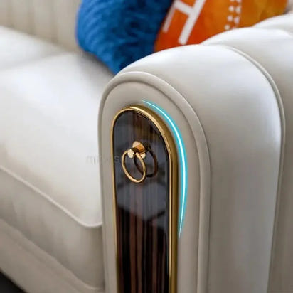 Luxury classic leather sofa set for living room and bedroom, perfect for reception and relaxation in Nordic style