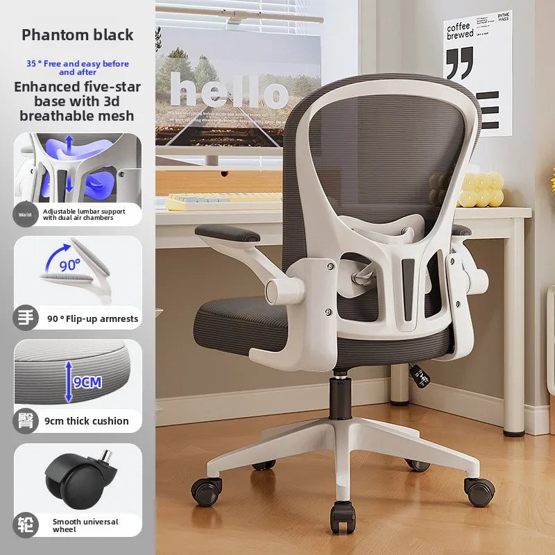 New model Computer chair Dormitory chair Ergonomic chair Learning seat Computer chair with waist rest