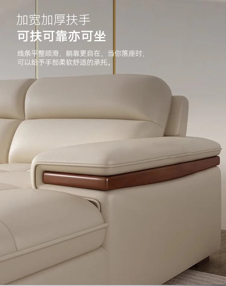 Leather sofa modern simple living room size apartment concubine solid wood combination imported first-layer cowhide sofa