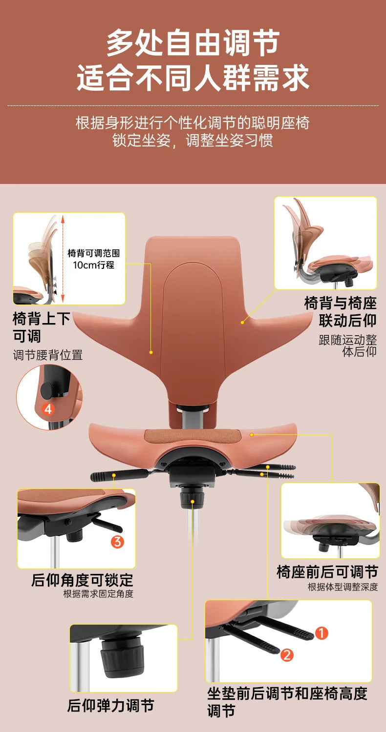 Back support Computer Office ergonomics Learning Dentist Saddle chair