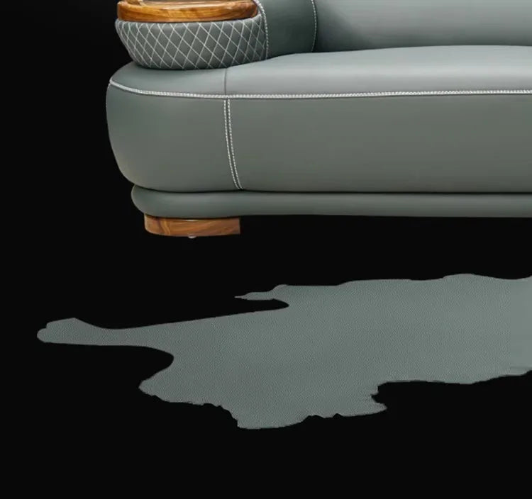 Modern minimalist, ebony leather sofa, new Chinese combination