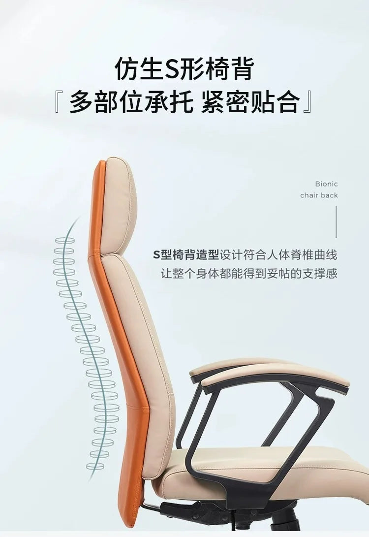 Modern Chair for Desk Deck-chair Reclining Relax Armchairs Ardor Gaming Chairs Cheap Gamer Chairs Free Shipping Weird Furniture