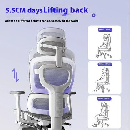 Ergonomic Office Chair with Lumbar Support Adjustable 3D Armrests Recline Tilt Function Mesh Seat for Home Office