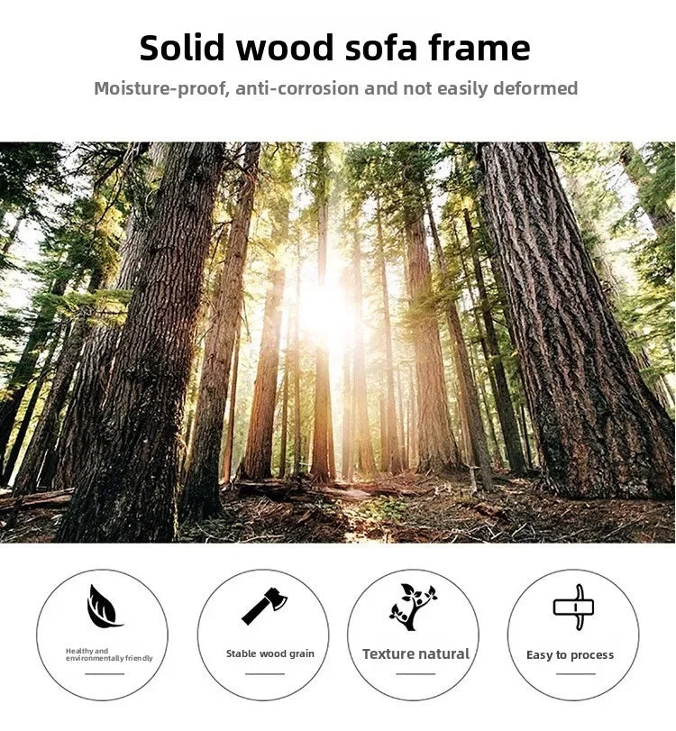 Nordic modern and simple, fabric sofa living room double, three combination small apartment light luxury Internet