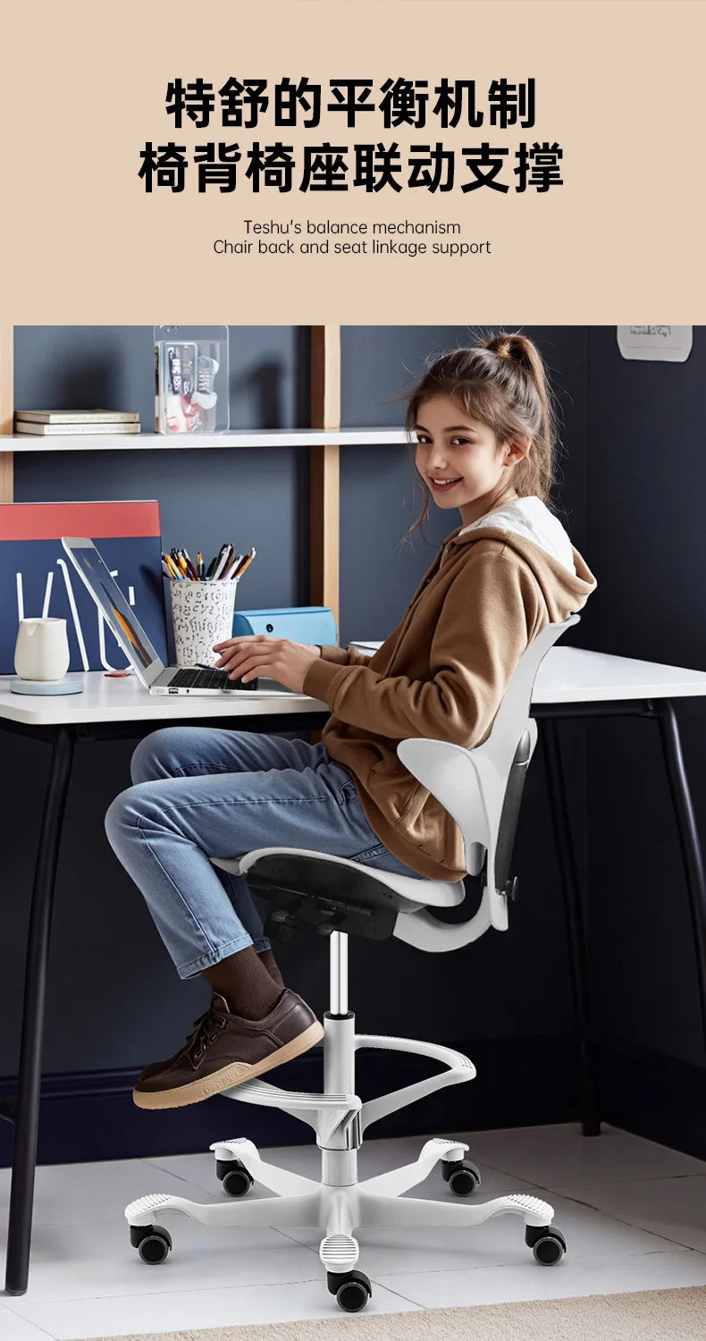 Back support Computer Office ergonomics Learning Dentist Saddle chair