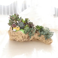 F19B Durable Resin Flower Pot Tree Root for Home and Office Landscape