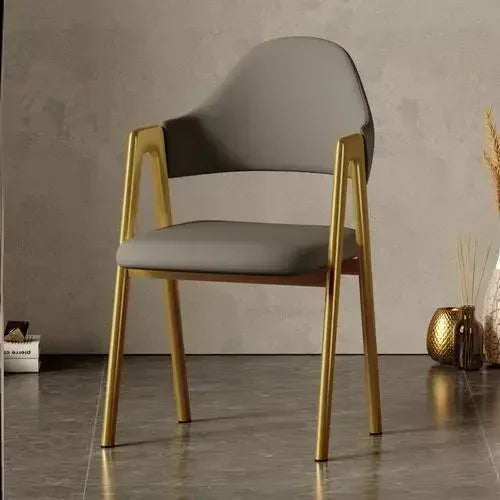 Room Dresser Dining Chairs Home Mid Century Modern Furniture Metal Skeleton Armchair Simple Makeup Armchair Kitchen Furniture