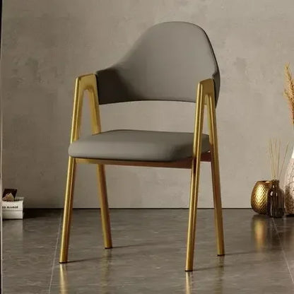 Room Dresser Dining Chairs Home Mid Century Modern Furniture Metal Skeleton Armchair Simple Makeup Armchair Kitchen Furniture