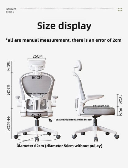 New model Computer chair Dormitory chair Ergonomic chair Learning seat Computer chair with waist rest